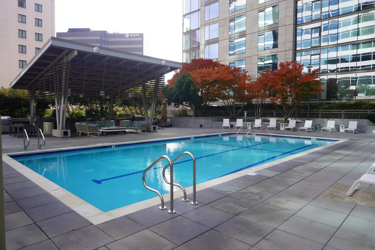 A rooftop swimming pool with clear blue water, a red maple and glass towers behind it.